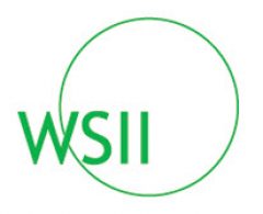 Women's Soccer Initiative, Inc.